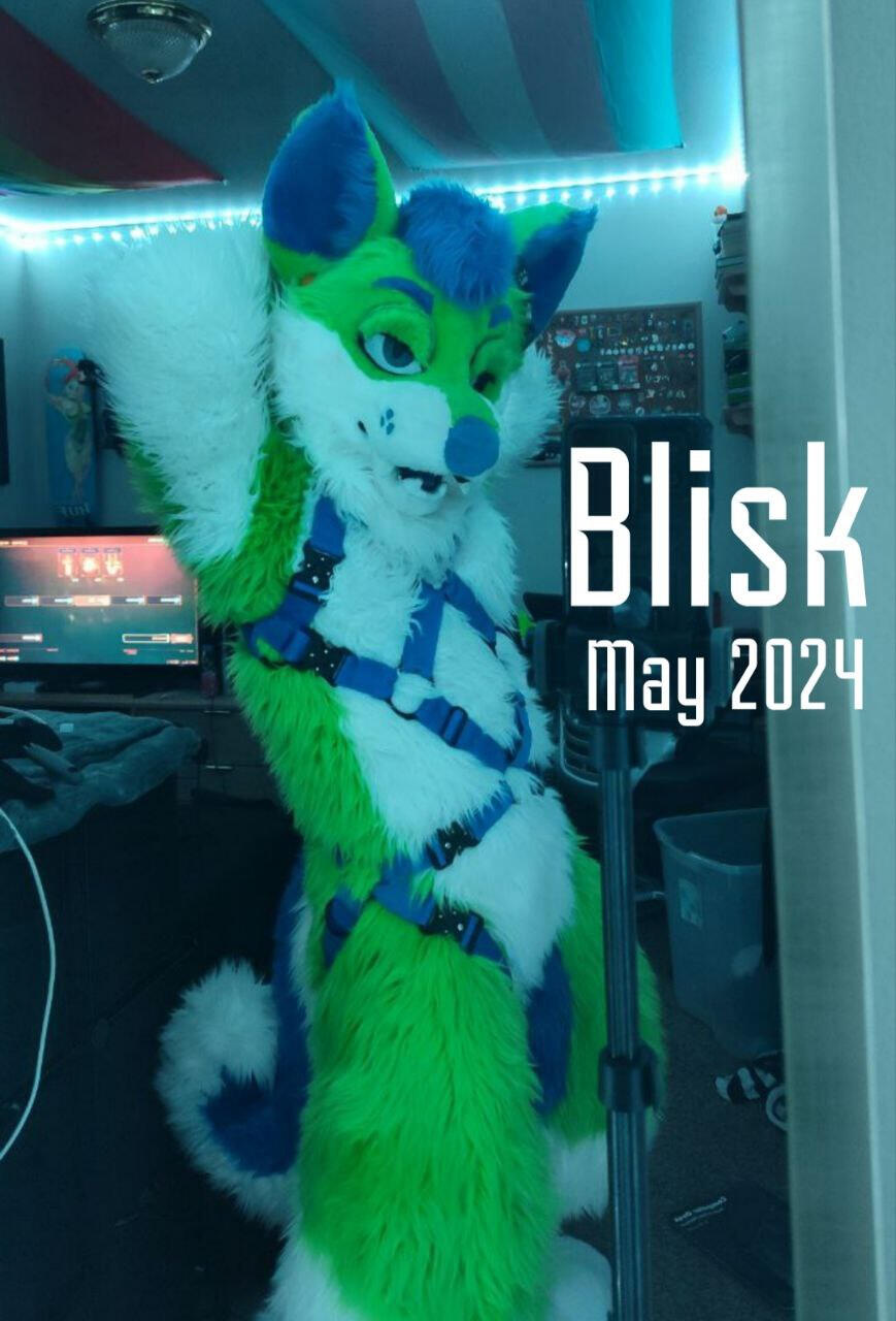 Blisk Blisk