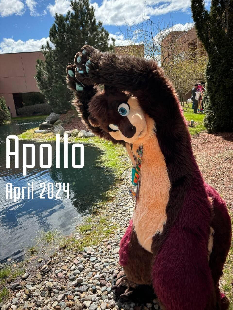 Apollo Apollo