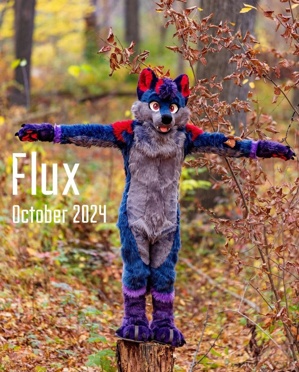 Flux Flux