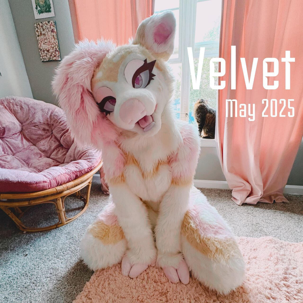 Velvet Velvet