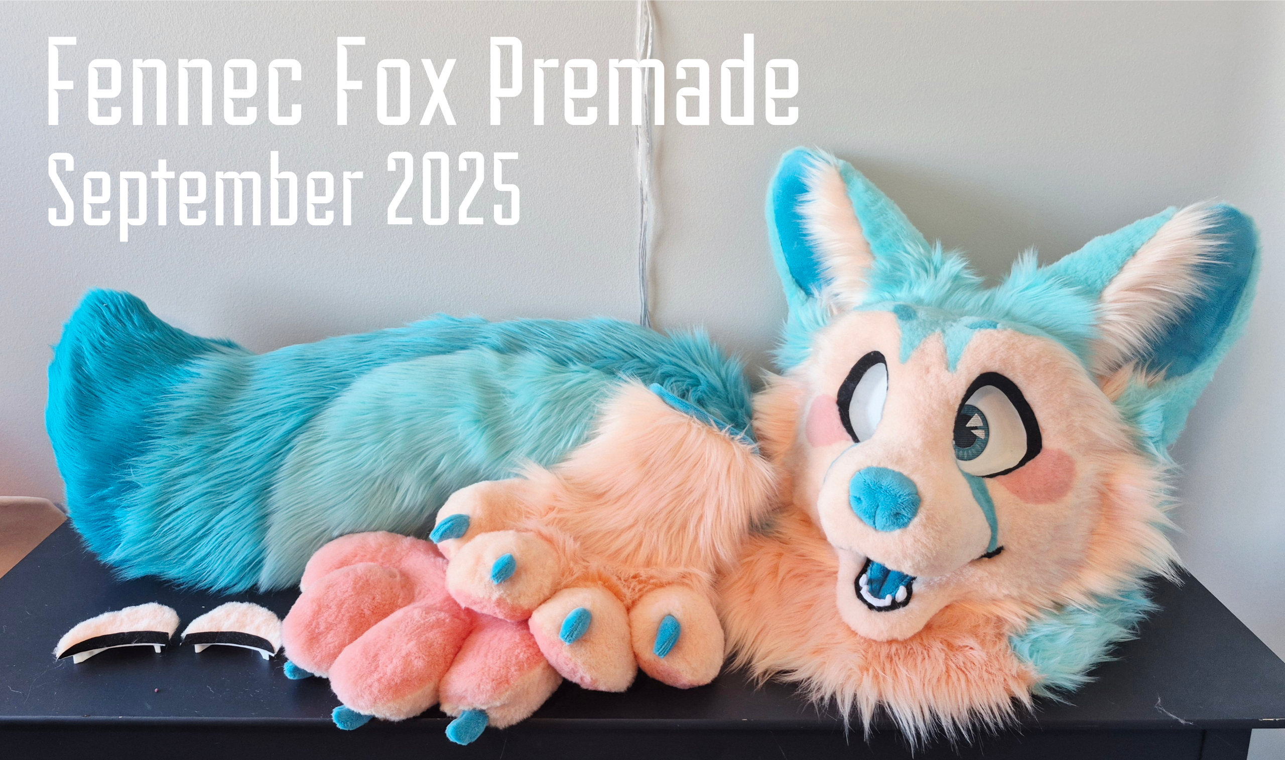 Fennec Fox Premade Fennec Fox Premade