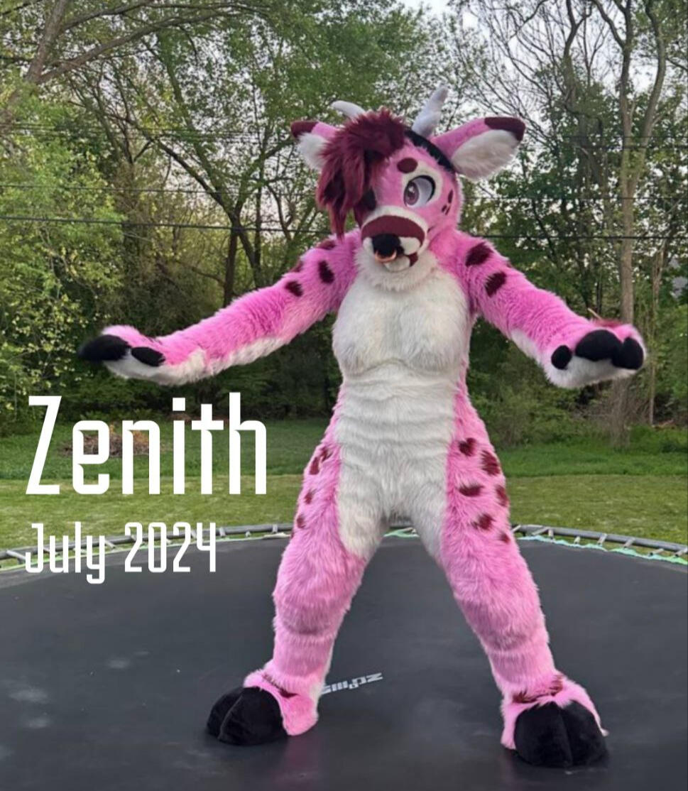 Zenith Zenith